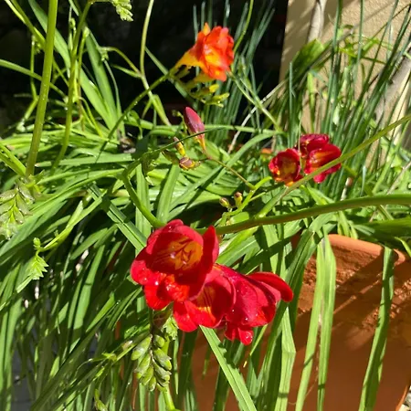 Porto De Mos Family House Semesterbostad Lagos